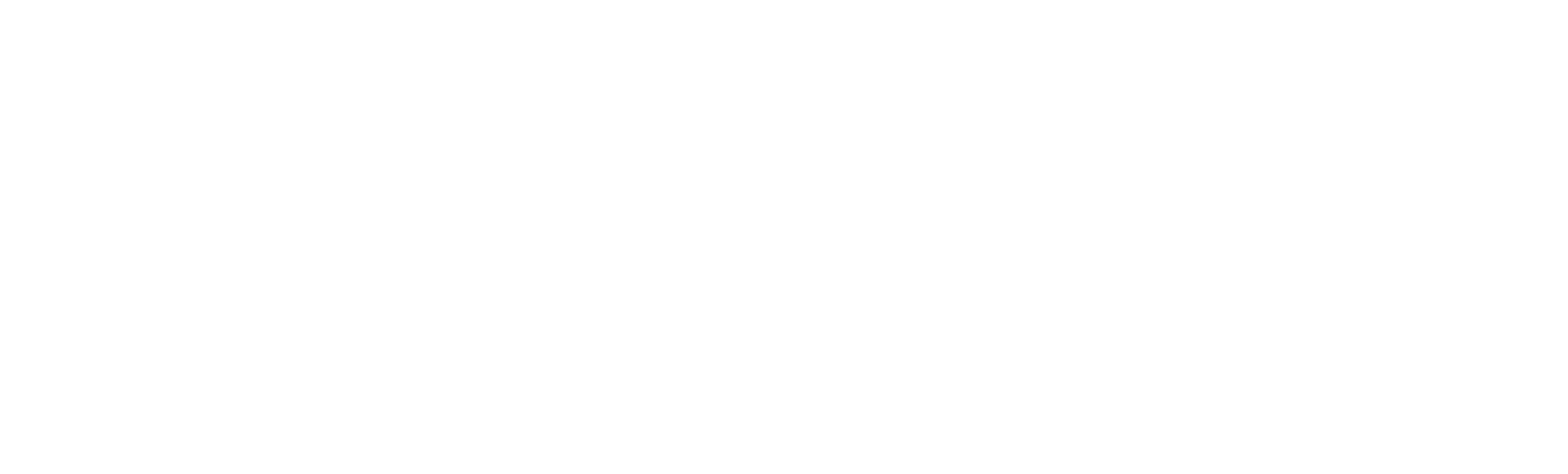 Image footer