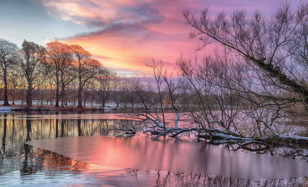 A Year At Poynton Pool